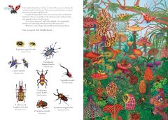 Incredible 3D Bug Hunt