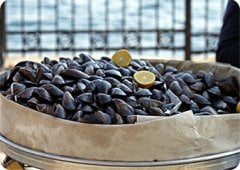 Midye Dolma - Uğur Uğurlu