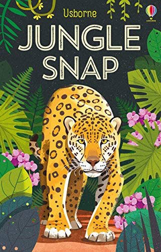 Jungle Snap Cards