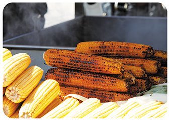 Mısır - Uğur Uğurlu