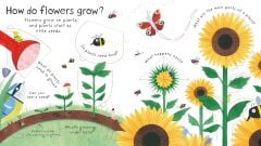 How Do Flowers Grow?