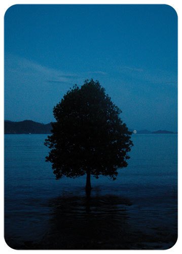 Purity - Verda Aner Verebay