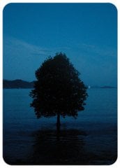 Purity - Verda Aner Verebay