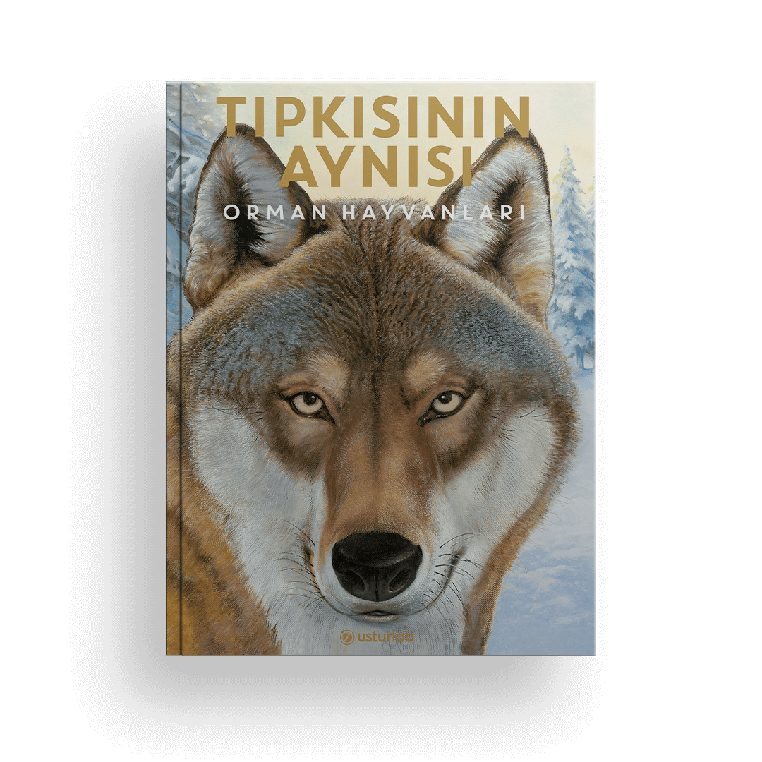 Tıpkısının Aynısı