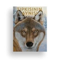Tıpkısının Aynısı