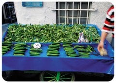 Salatalık - Uğur Uğurlu