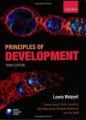 Principles of Development