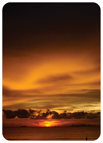 Yellow Sunset - Verda Aner Verebay