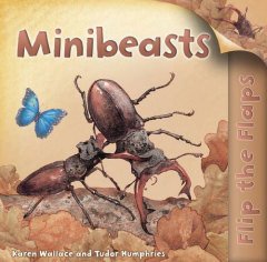 Flip the Flaps: Minibeasts