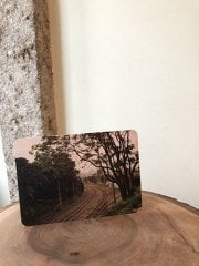 Yol (Gülhane) - Uğur Uğurlu