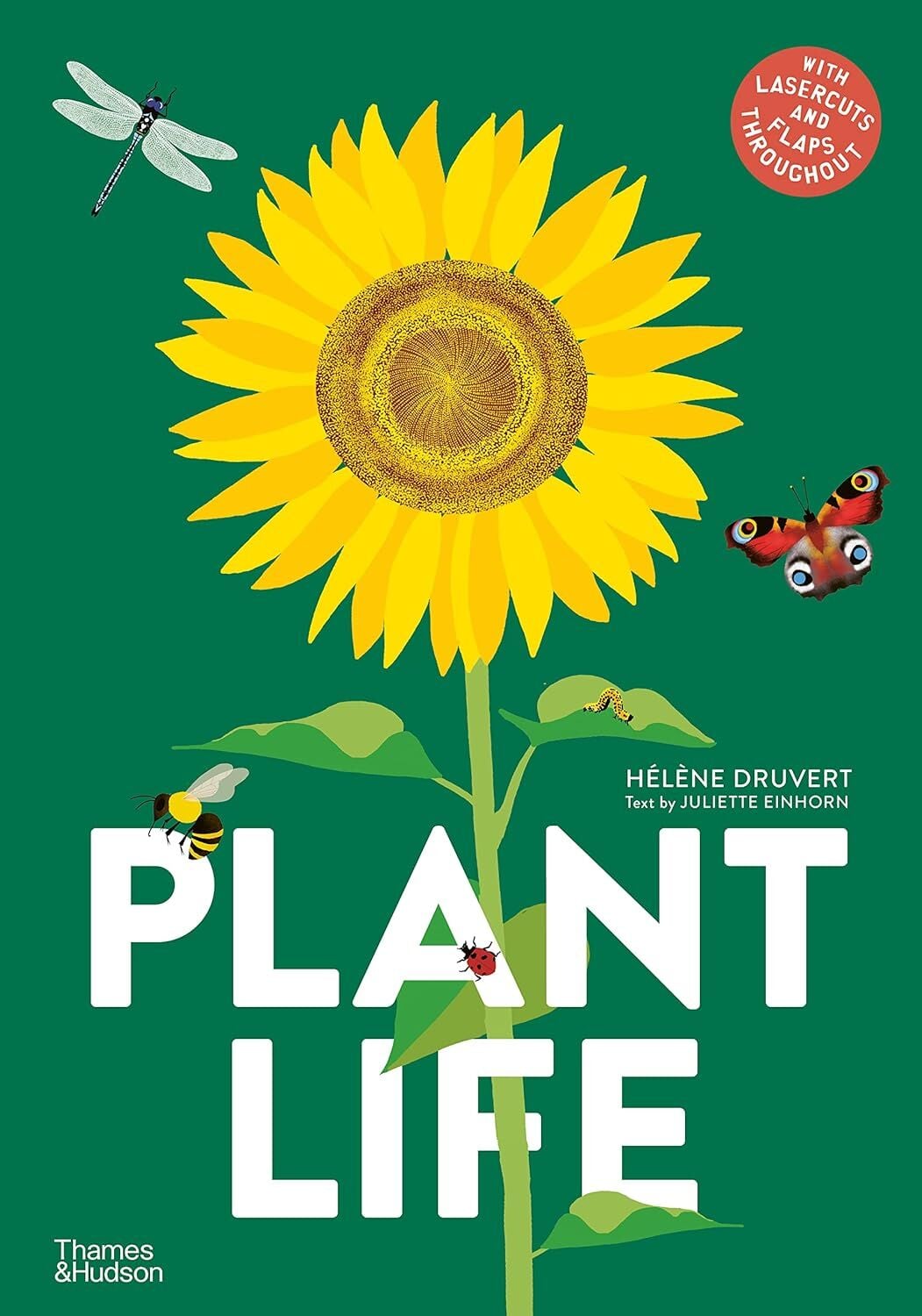 Plant Life