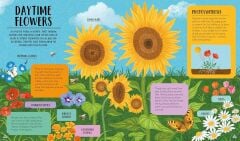 Kingfisher flip books 2: Day and Night