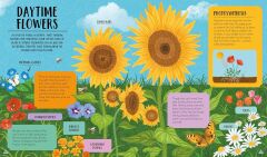 Kingfisher flip books 2: Day and Night