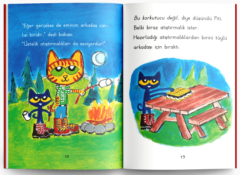 Kedi Piti Kampa Gidiyor