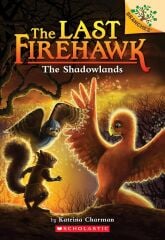 Shadowlands, Last Firehawk 5