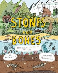 Stones and Bones
