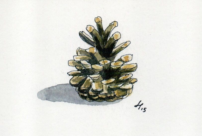 Kartpostal - Kozalak Sade