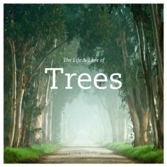 Life and Love of Trees