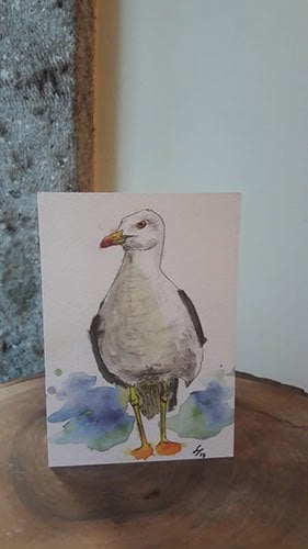 Kartpostal – Martı