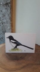 Kartpostal – Saksağan