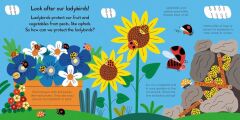Ladybird