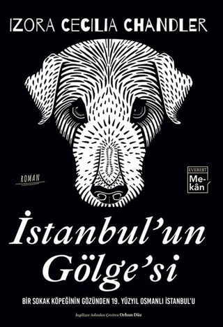 İstanbul'un Gölgesi