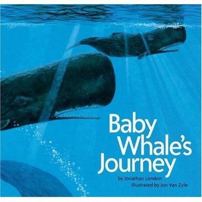 Baby Whale's Journey