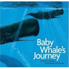 Baby Whale's Journey