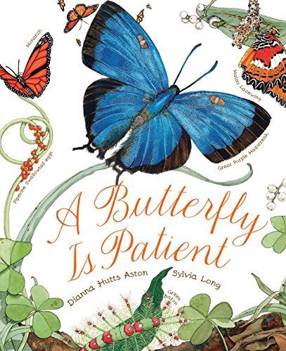 Butterfly is Patient