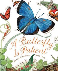 Butterfly is Patient