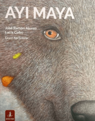 Ayı Maya