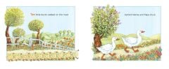 Ducks on the Road