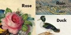 Nature: Early Learning at the Museum