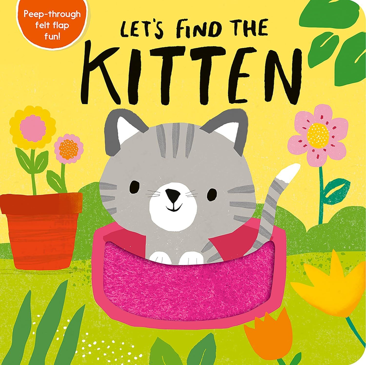 Let's Find the Kitten