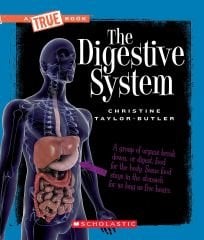 Digestive System