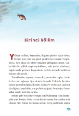 Kum Adam ile Kaplumbağalar