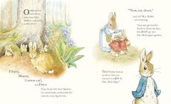 Tale of Peter Rabbit Picture Book