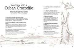 Interview with a Panda