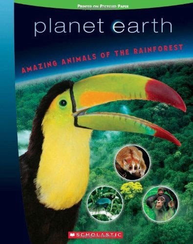 Amazing Animals of the Rainforest