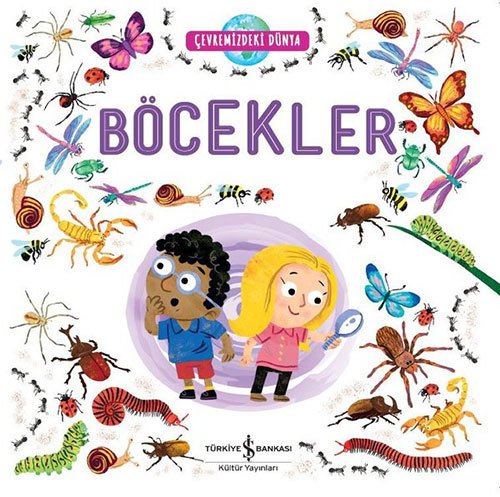 Böcekler, Çevremizdeki Dünya