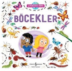 Böcekler, Çevremizdeki Dünya