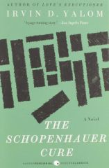 Schopenhauer Cure