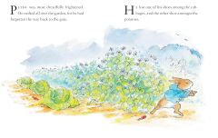 Peter Rabbit Stories