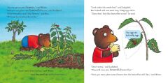 NT: Ben Plants a Butterfly Garden