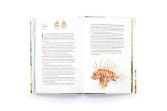 Around the Ocean in 80 Fish and other Sea Life