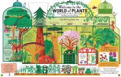 Lift-the-Flap Biology