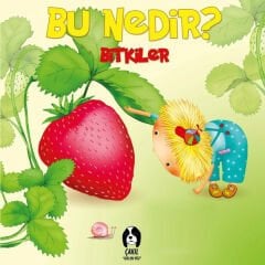 Bitkiler - Bu Nedir?