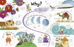 Lift the Flap Questions and Answers