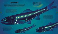 Beasts from the Deep