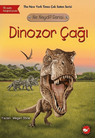 Dinozor Çağı - Ne Neydi?
